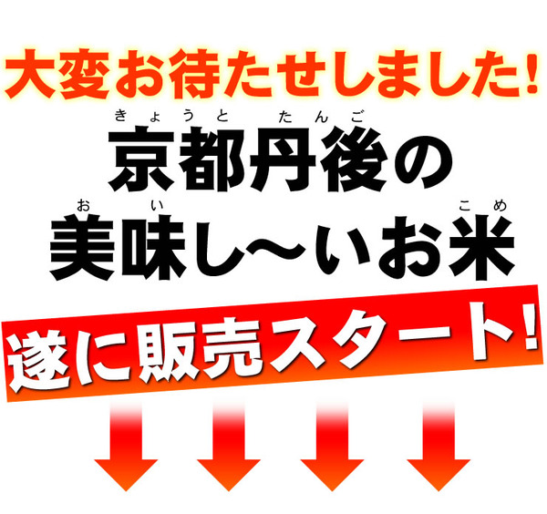 平成23年産・新米 京都丹後産コシヒカリ