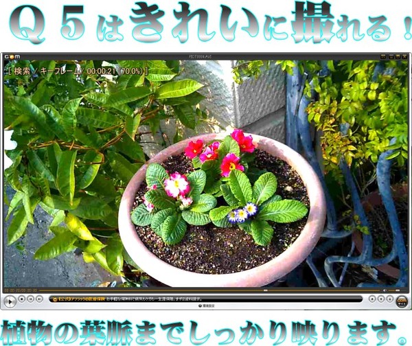 http://net1market.blog.fc2.com/blog-entry-19.html