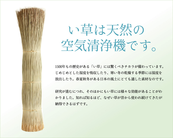純国産/日本製 : 家具・インテリア い草ラグカ 超激安特価