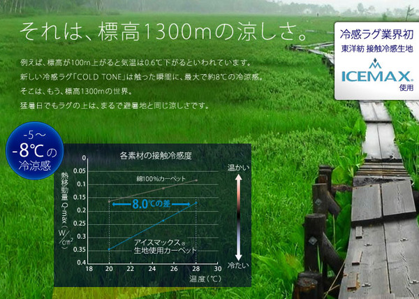 NEXTHOME マイナス5〜8℃冷たいICEMA×(アイスマックス)ラグ コールドトーン