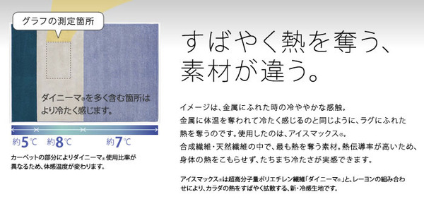 NEXTHOME マイナス5〜8℃冷たいICEMA×(アイスマックス)ラグ コールドトーン