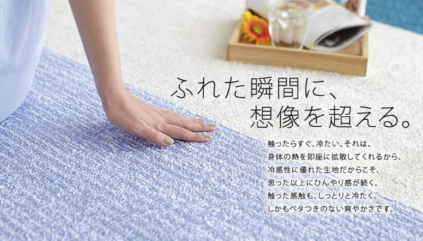 NEXTHOME マイナス5〜8℃冷たいICEMA×(アイスマックス)ラグ コールドトーン