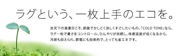 NEXTHOME マイナス5〜8℃冷たいICEMA×(アイスマックス)ラグ コールドトーン