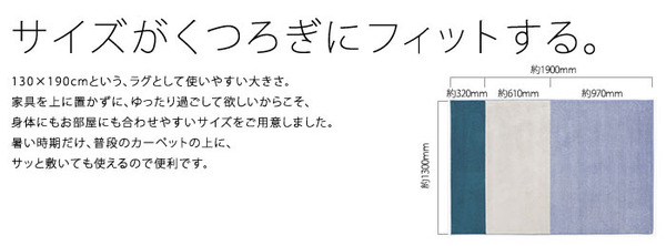 NEXTHOME マイナス5〜8℃冷たいICEMA×(アイスマックス)ラグ コールドトーン