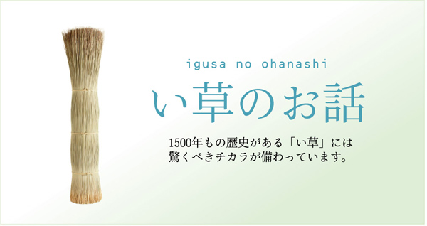 純国産/日本製 : 家具・インテリア 袋三重織 超激安安い