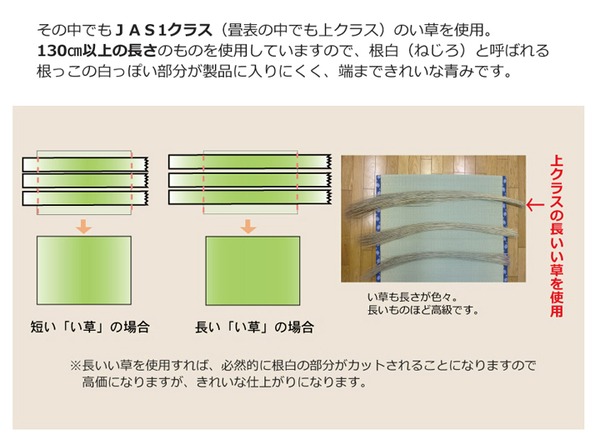 m) : 家具・インテリア 熊本県八代産イ草使用 豊富な低価