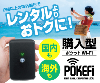 SmartGo Pokefi(予備バッテリー付き)海外wifiルーター