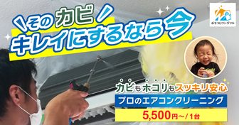エアコンから出てきた黒い塊の正体...おそうじワンダフルで判明した衝撃の事実