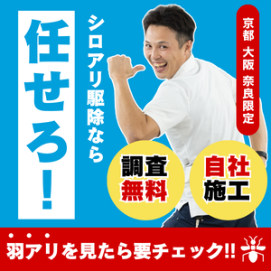 築15年で床が抜けた日、シロアリに家を食い尽くされる恐怖を知った私がヤマト産業に辿り着くまでの記録