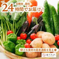 こだわり野菜が生産者から直接届く  食材宅配サービス「食べチョク」での購入