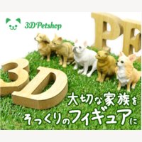 3Dペットショップ｜犬猫のお写真からフィギュア作成の注文