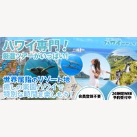 ハワイツアーズ｜ハワイツアー・アクティビティの参加