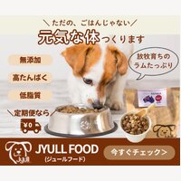 JYULLフード｜無添加プレミアムドッグフードの定期購入