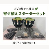 株式会社伊藤商事｜スリットバスケット寄せ植えスターターセットの購入