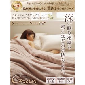 【単品】毛布 シングル【gran】アンティークバニラ プレミアムマイクロファイバー贅沢仕立てのとろけるシリーズ【gran】グラン 発熱わた入り2枚合わせ毛布 商品写真2