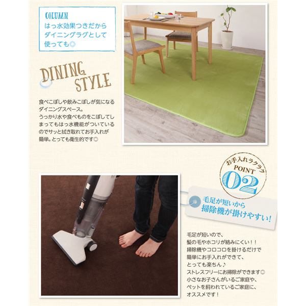 お手入れらくらく2