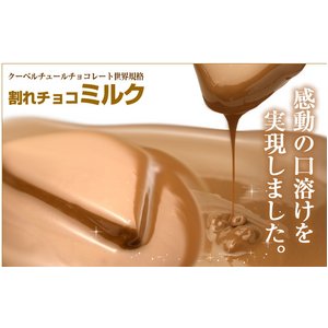 割れチョコ ミルク 800g 【クーベルチュールチョコレート】 商品写真