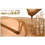 割れチョコ ミルク 800g 【クーベルチュールチョコレート】