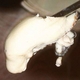 【本場】広島ミルク牡蠣2kg - 縮小画像3