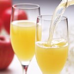 【葉とらずりんごのりんごジュース】林檎園：ストレート果汁100％　1000ml×6本