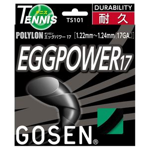 GOSEN(ゴーセン) エッグパワー17 ブラック TS101BK 商品写真
