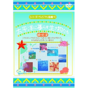 KIDS世界の海DVD4本セット+オマケ付! 商品写真2