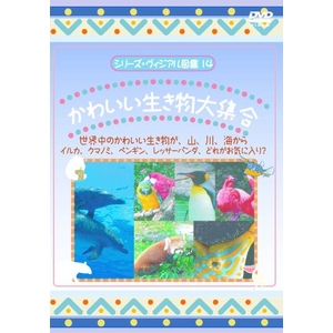 KIDSいろんな動物DVD4本セット+オマケ付! 商品写真3