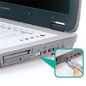 サンワサプライ USBコネクタ取付けセキュリティ SL-46-BL 商品写真