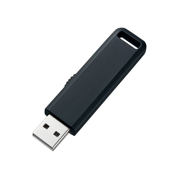 (まとめ)サンワサプライ USB2.0メモリ UFD-SL2GBKN【×2セット】