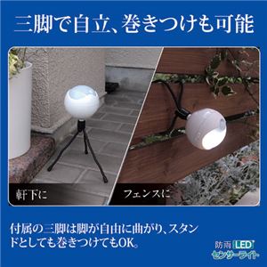 (まとめ)旭電機化成 防雨LEDセンサーライト 809994【×2セット】 商品写真4