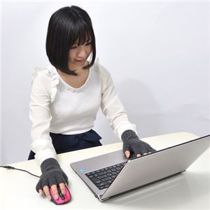 (まとめ)サンコー 指先まで温かい!USB指までヒーター手袋 USGLVE2G【×2セット】 商品写真4
