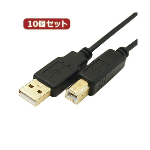 変換名人 10個セット 極細USBケーブルAオス-Bオス 1m USB2A-B／CA100X10