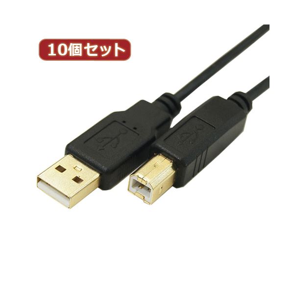 変換名人 10個セット 極細USBケーブルAオス-Bオス 3m USB2A-B／CA300X10