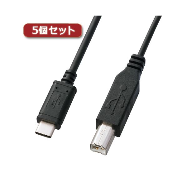 5個セット サンワサプライ USB2.0TypeC-Bケーブル KU-CB30X5