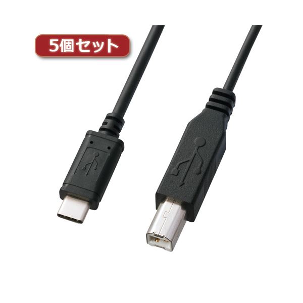 5個セット サンワサプライ USB2.0TypeC-Bケーブル KU-CB20X5