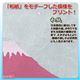 （まとめ）ラッキーシップ らくらく圧縮袋 SAKURA JAPAN赤富士 2枚セット 811573【×5セット】 - 縮小画像4