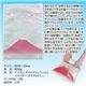 （まとめ）ラッキーシップ らくらく圧縮袋 SAKURA JAPAN赤富士 2枚セット 811573【×5セット】 - 縮小画像5