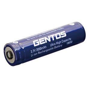 （まとめ）GENTOS 専用充電池SG-39SB【×2セット】 - 拡大画像