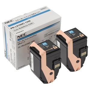 NEC トナーカートリッジ 2本セット（シアン）PR-L9100C-13W