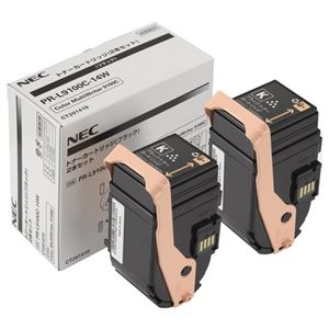 NEC トナーカートリッジ 2本セット（ブラック）PR-L9100C-14W