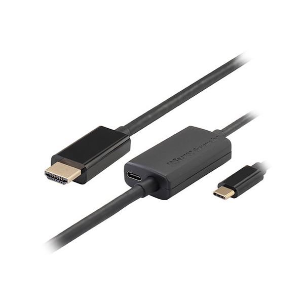 ラトックシステム USB Type-C to HDMI 変換ケーブル（PD対応・2m） RS-UCHD4K60-2M