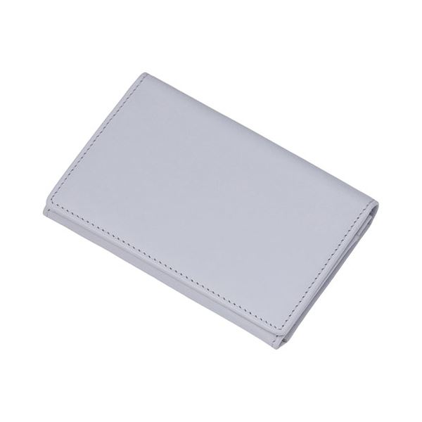 レイメイ藤井 タイニスト 名刺入れ ミストブルー NN1078A