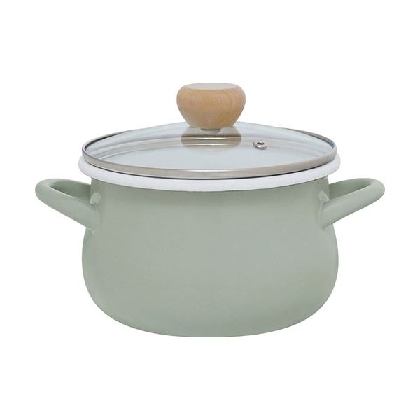 ストクック IH対応ホーロークッキングポット18cm グリーン 2.2L C6124658
