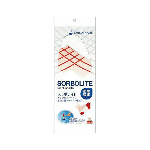 【3セット】 三進興産 ソルボライト 2L sorbo14648X3