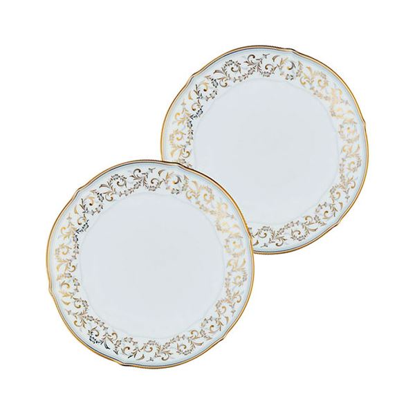 ノリタケ ソフィランス 21.5cmプレートペアセット φ21.7×2.2cm C6091540
