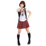 アイドル制服セット ユニットB 【レディース】 ベスト付シャツ ネクタイ スカート付き 〔コスプレ イベント〕 border=