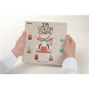 DICカラーガイド 2色カラーチップス 商品写真2