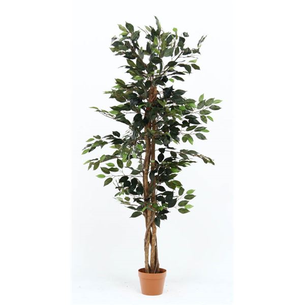 観葉植物 造花 フィカス A 6号鉢対応 幅60cm リビング ダイニング インテリア雑貨 備品 什器【代引不可】