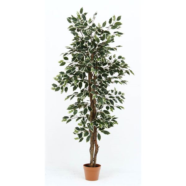 観葉植物 造花 フィカス B 6号鉢対応 幅80cm リビング ダイニング インテリア雑貨 備品 什器【代引不可】