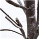 モダン クリスマスツリー 【高さ90cm】 ブラウン 『LEDスノーツリー』 〔リビング 店舗 什器 備品〕 - 縮小画像4